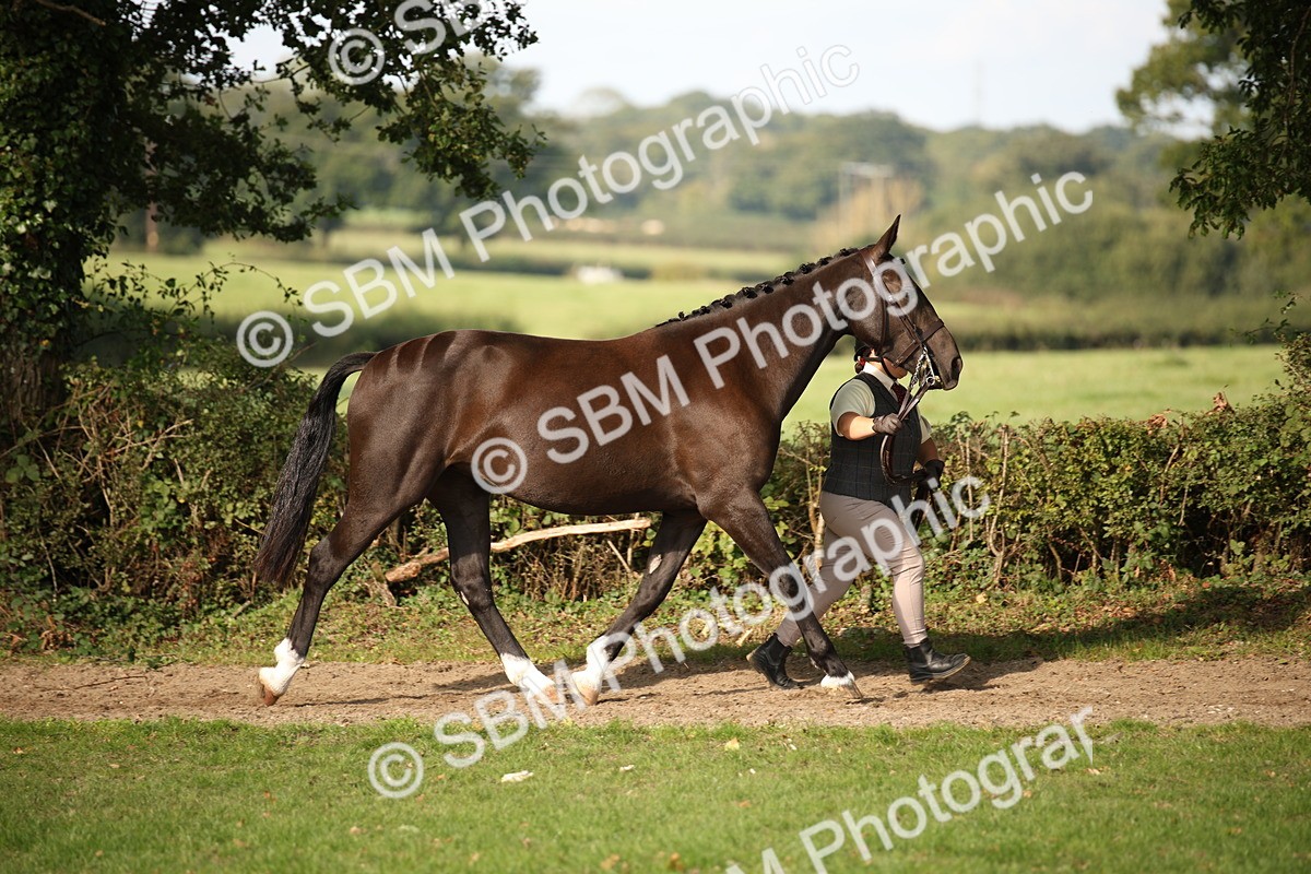 SBM_60078 - S53 - Hunter In Hand
