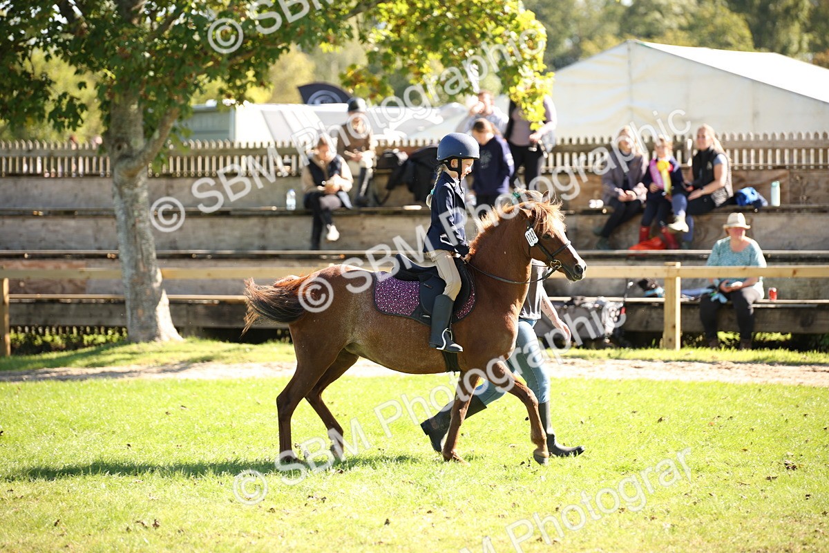 SBM_38978 - S11 - Best Ridden Horse & Pony