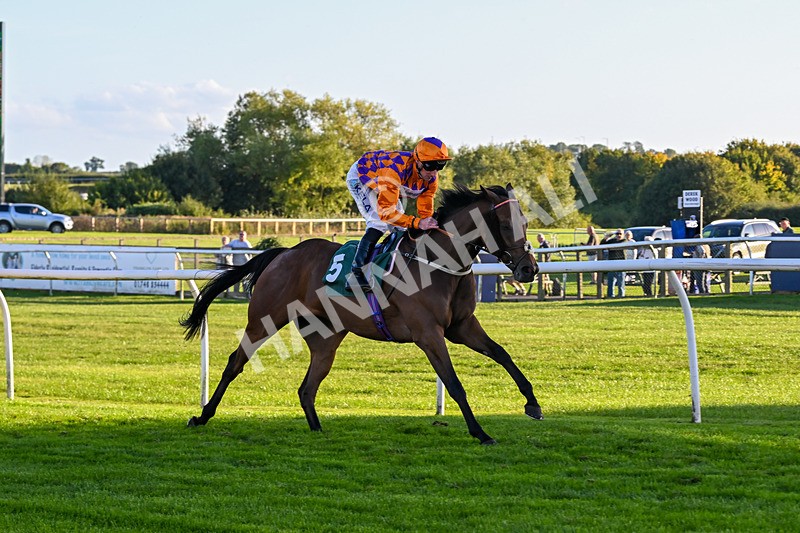 300926-Race 7-Prince Of Calypso-7074 - Race 7 5.25pm Amstel Gallop Handicap