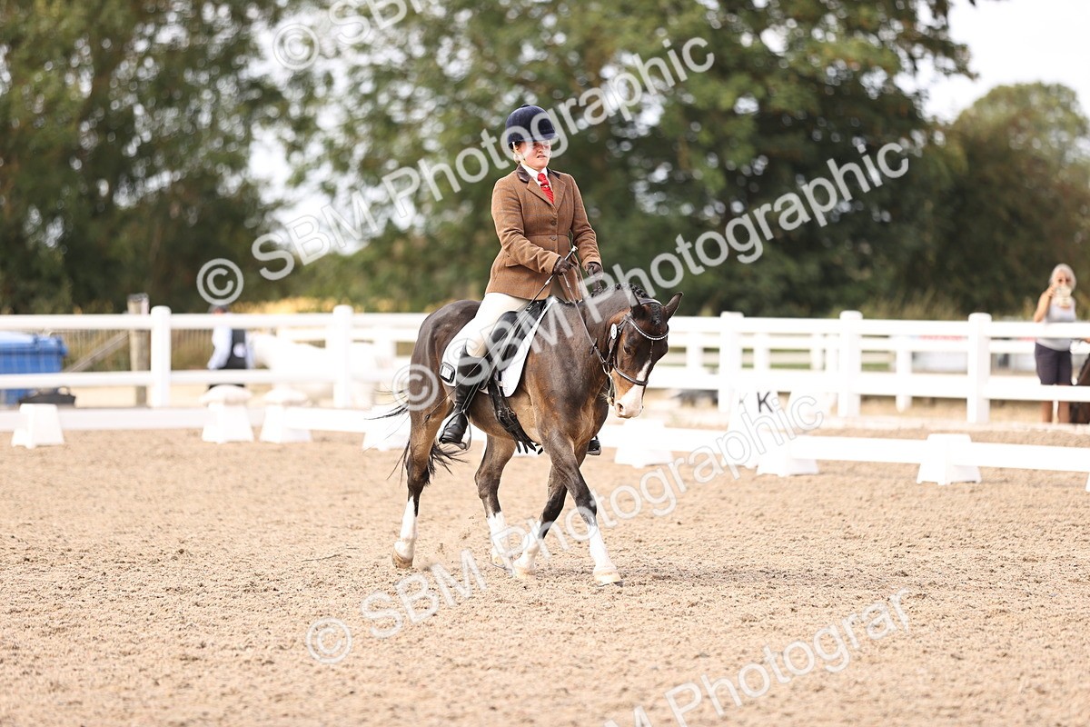 SBM_06076 - Class 37 Novice 5