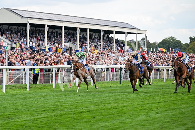 220826-Race 4-Daiquiri Bay-0422 - Race 4 15.35pm Sky Bet Ebor Handicap