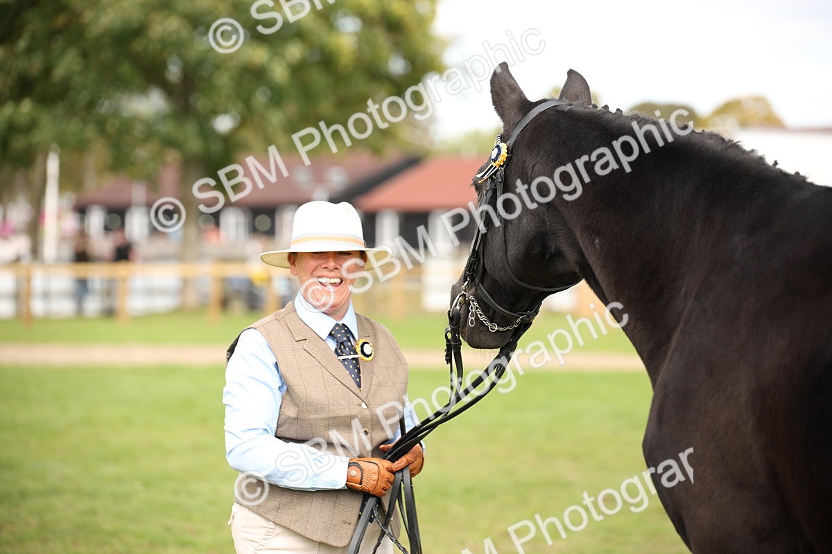 SBM_46342 - S25 - Mature Veteran In Hand