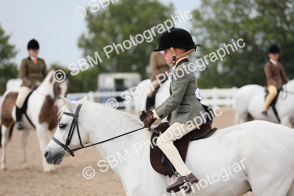 SBM_16928 - Class 314 Family Horse/Pony