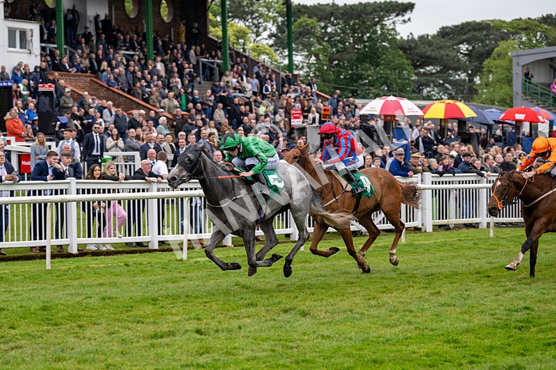 040524-Race 4-Star Of Lady M-4516 - Race 4