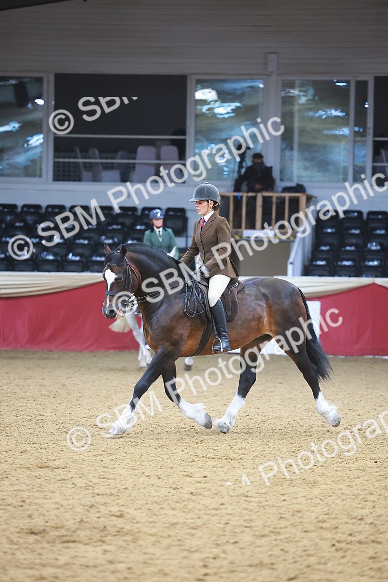 SBM_06037