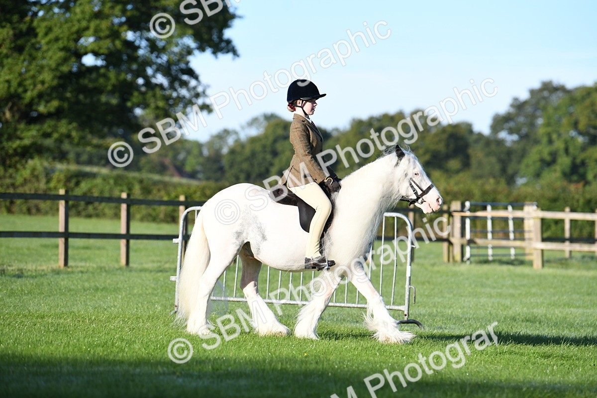 SBM_33910 - S16 - Condition & Turnout - Ridden