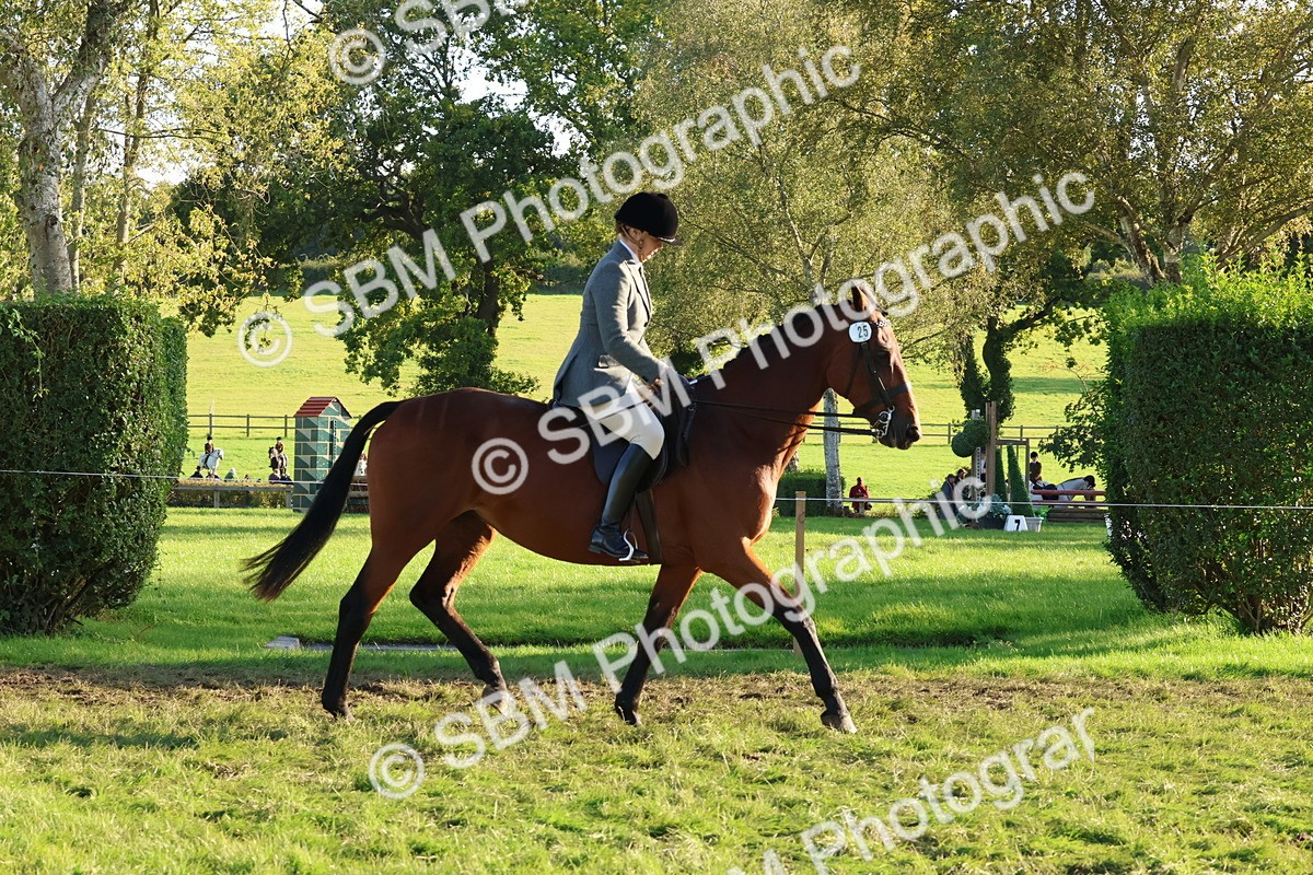 SBM_52995 - S29 - Mature Veteran Ridden