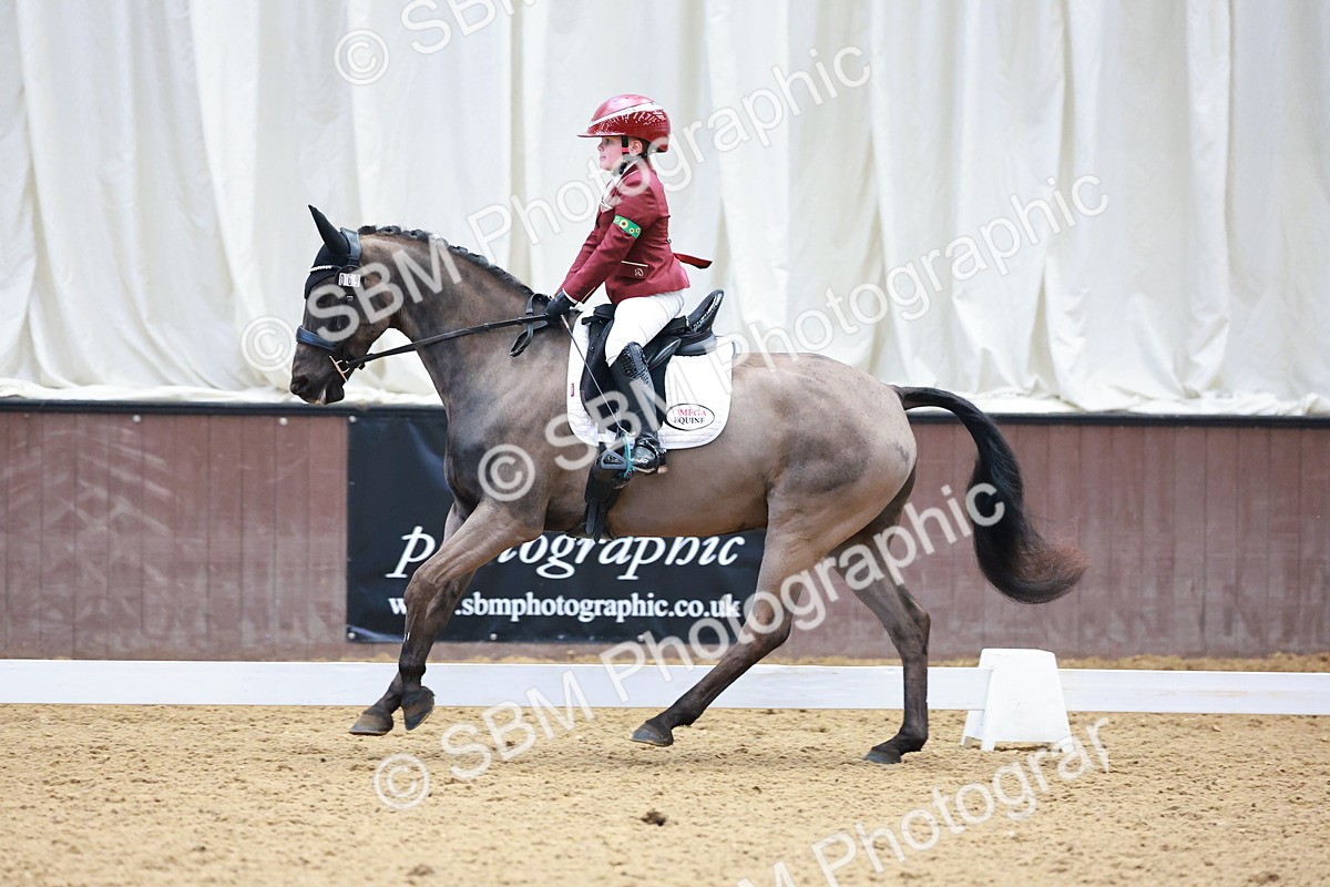 0B8A3900 - Class 3-6-9 - Prel Nov Ele - FSM