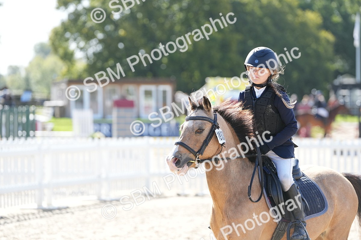 SBM_38361 - J6 - Junior Pony 55cm Championship