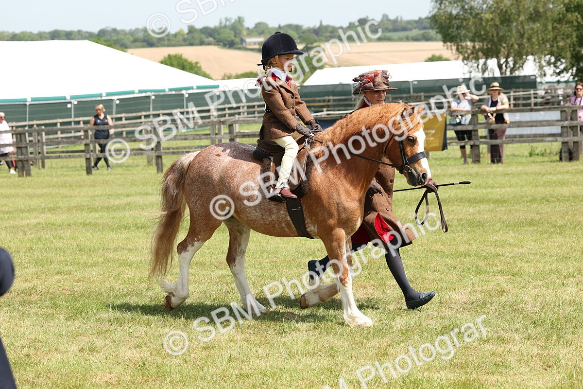 SBM_05269 - Class 24-25 - Mountain & Moorland In Hand Lead Rein and First Ridden