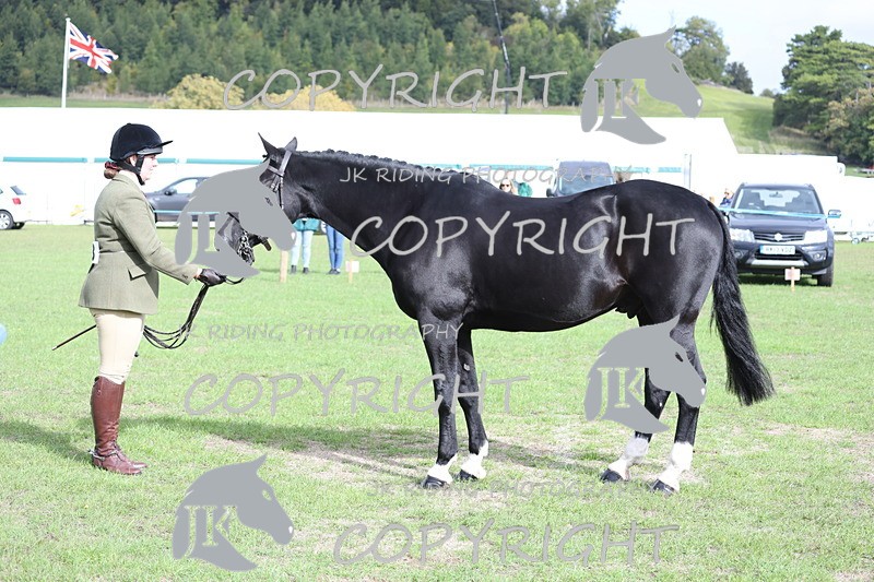 APP_2611 - Class 9 Veterans in hand