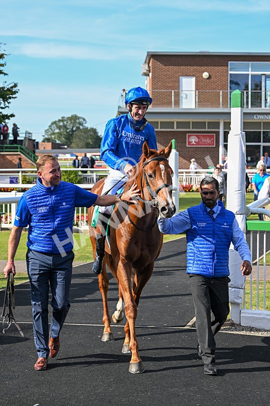 160924-Race 4-Watching Stars-2907 - Race 4