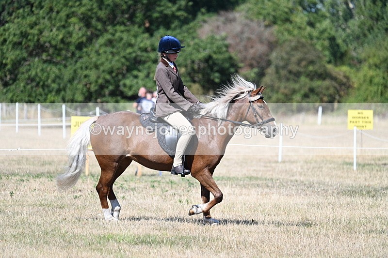 WJ7_4018 - Class 9 Mountain & Moorland Ridden