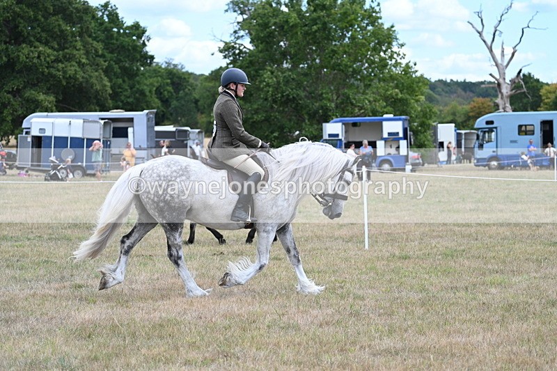 WJ7_4786 - Class 12 Ridden Cob