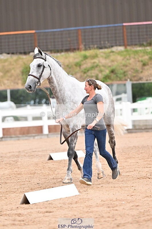 250716-152220-01881 - Trot Up 2.30 to 3.30