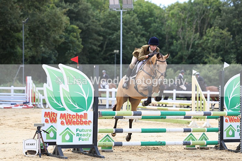 3E7A3395 - Class 4: Senior British Novice/90cm open