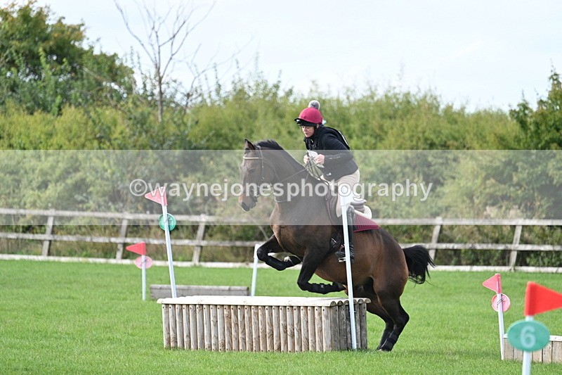 WJ7_8350 - 60cm Pairs