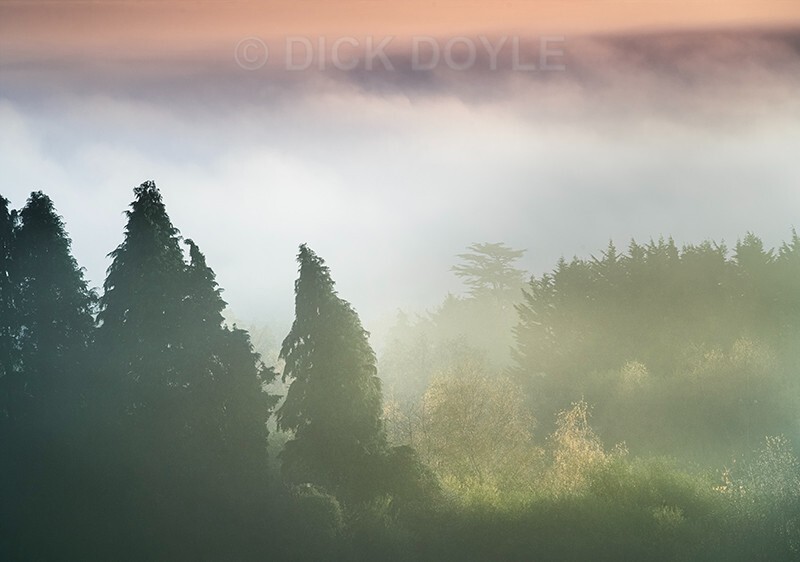 Roadside light M8Cahir - Mood and mist with some lumen added