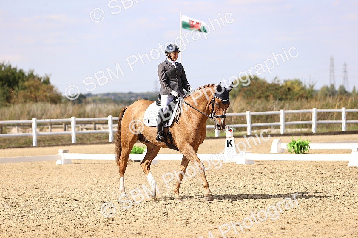 SBM_015075 - Class 6 - Elementary 5