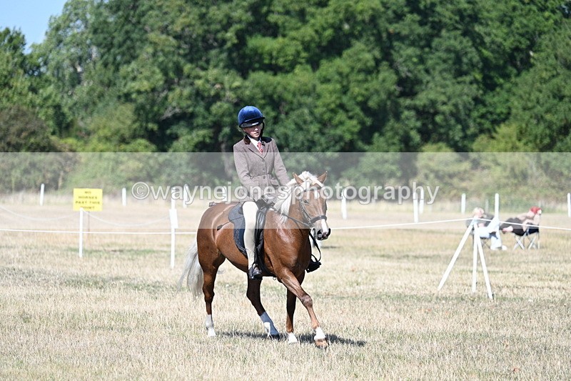 WJ7_4022 - Class 9 Mountain & Moorland Ridden