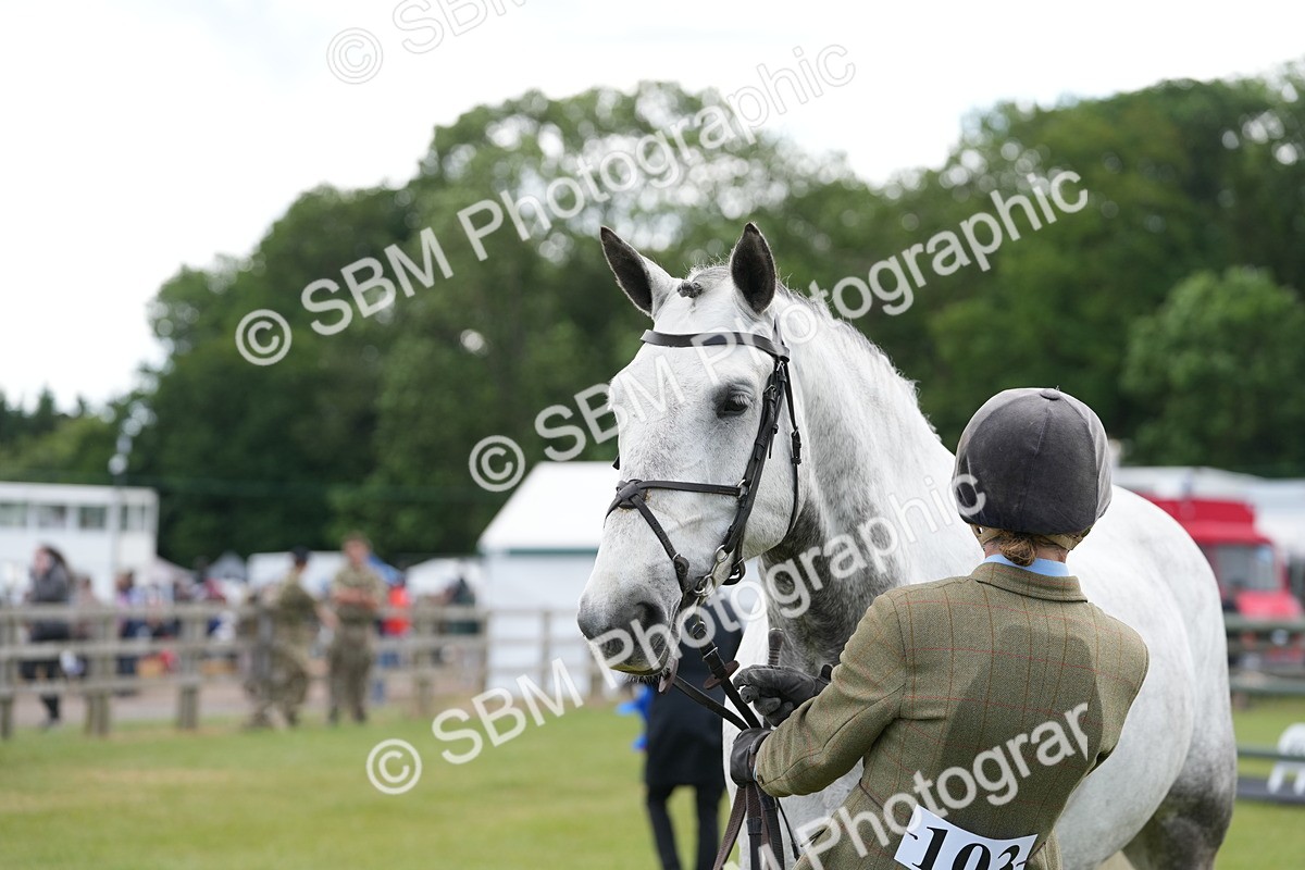 SBM_14897 - Class 100-102 - RIHS Working Hunter