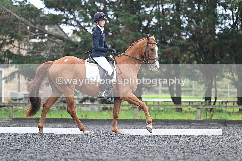 WJ7_6702 - Time 14:49 to 15:14