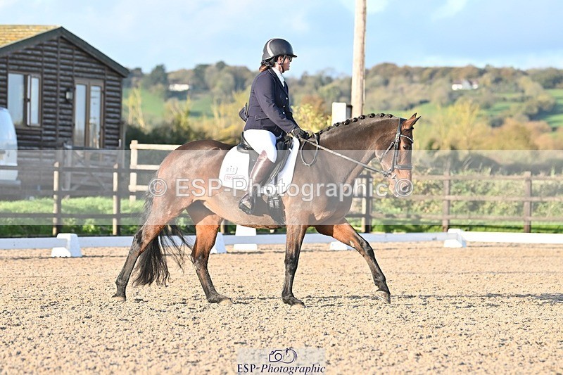 231105-151254-03024 - Cls 4 Novice 24 15.24 to 16.35 break