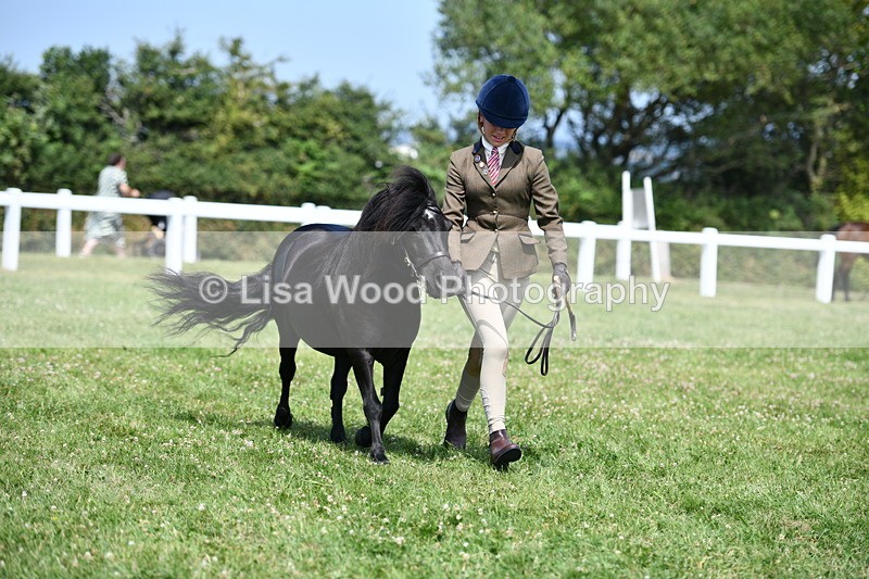 DSC_8179 - Class 67: Child Handler 11 - 16 years