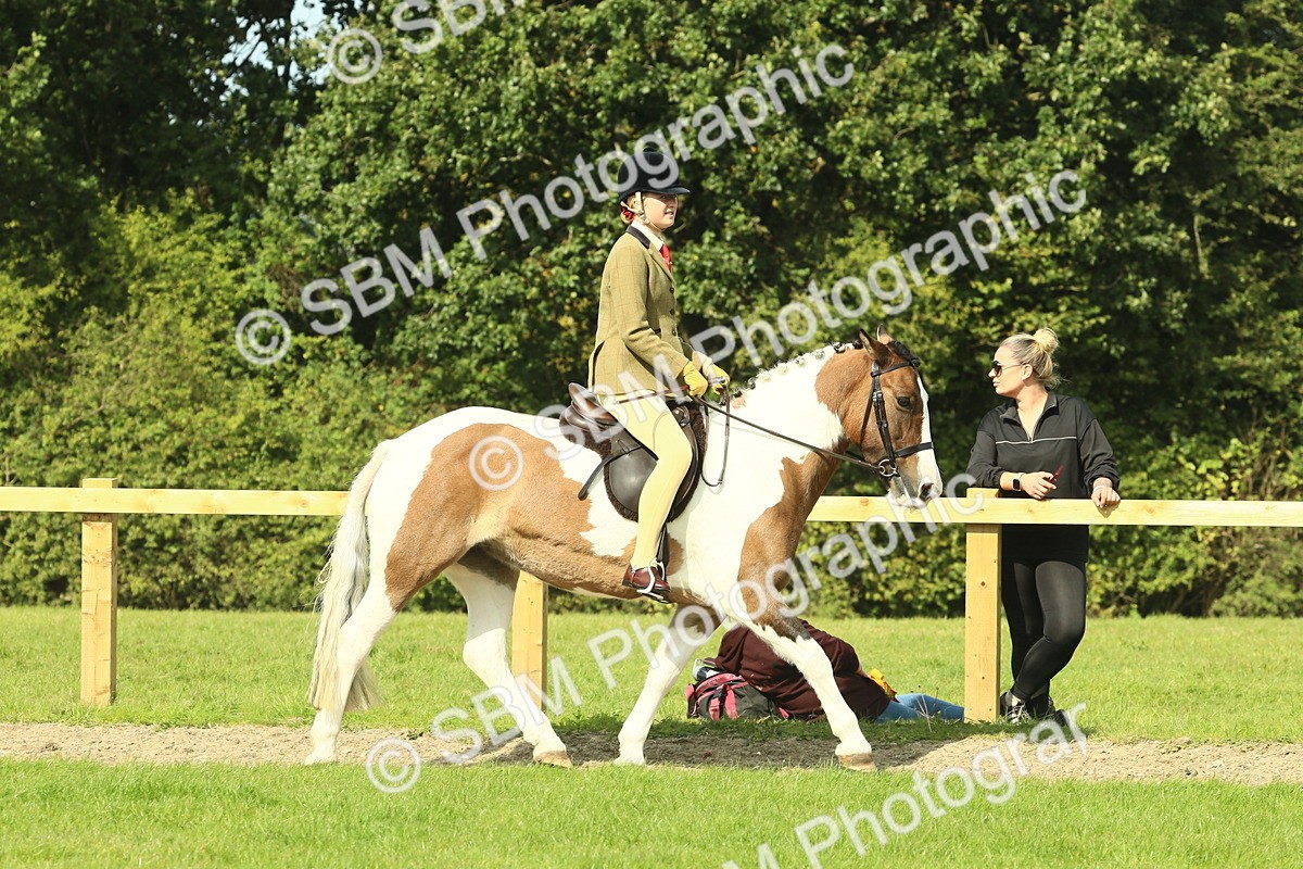 SBM_67437 - S56 - Coloured Pony Ridden