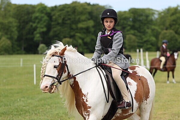 IMG_2434 - Working Hunter