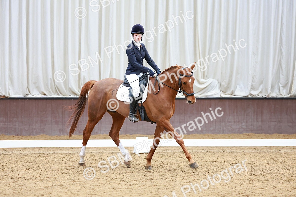 SBM_003459 - Class 11 - Novice 2