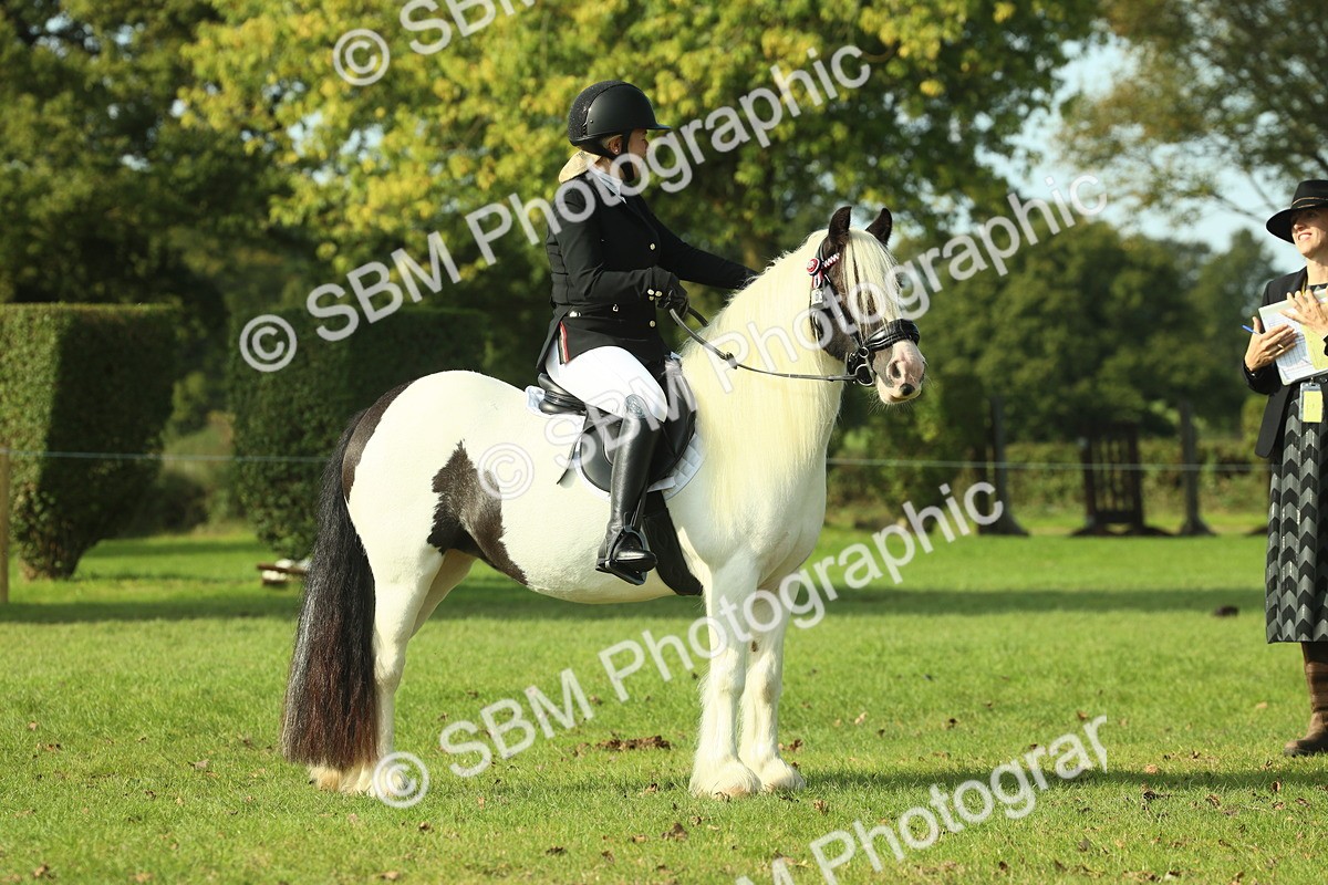 SBM_59946 - S38 - Starters Ridden Showing