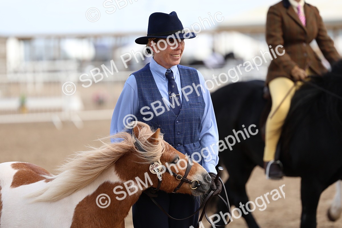 SBM_02397 - Class 19 - Horse or Pony Judge would most like to take home