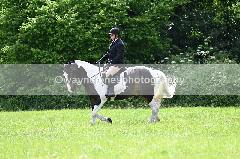 WJ7_2631 - Class 12A Coloured Class