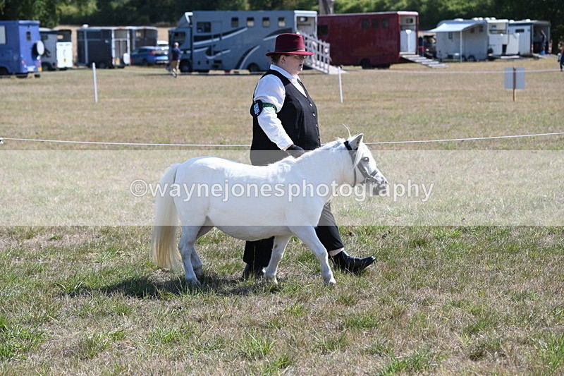 WJ6_4607 - Class 17 Mountain & Moorland