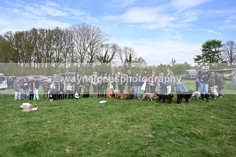 WJ6_9186 - Class 8 Best Working / Gun Dog or Bitch