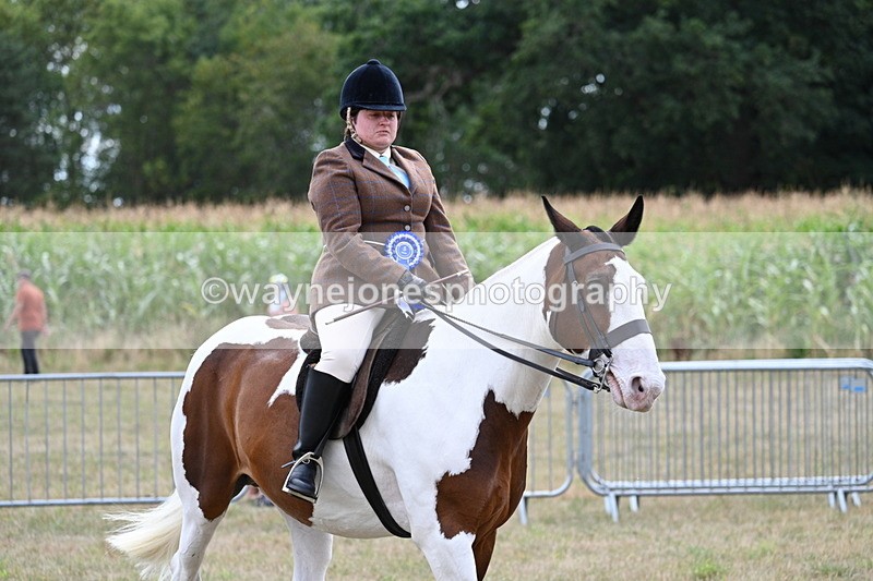 WJ7_5681 - Class 12 Ridden Cob