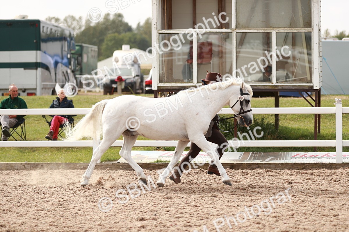 SBM_12413 - Class 207 IH M&M