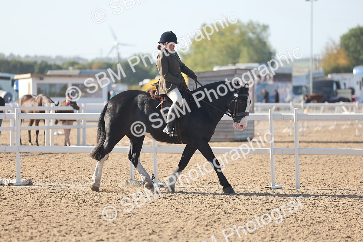 SBM_22184 - Class 802 - Ridden Groom Helpers Class