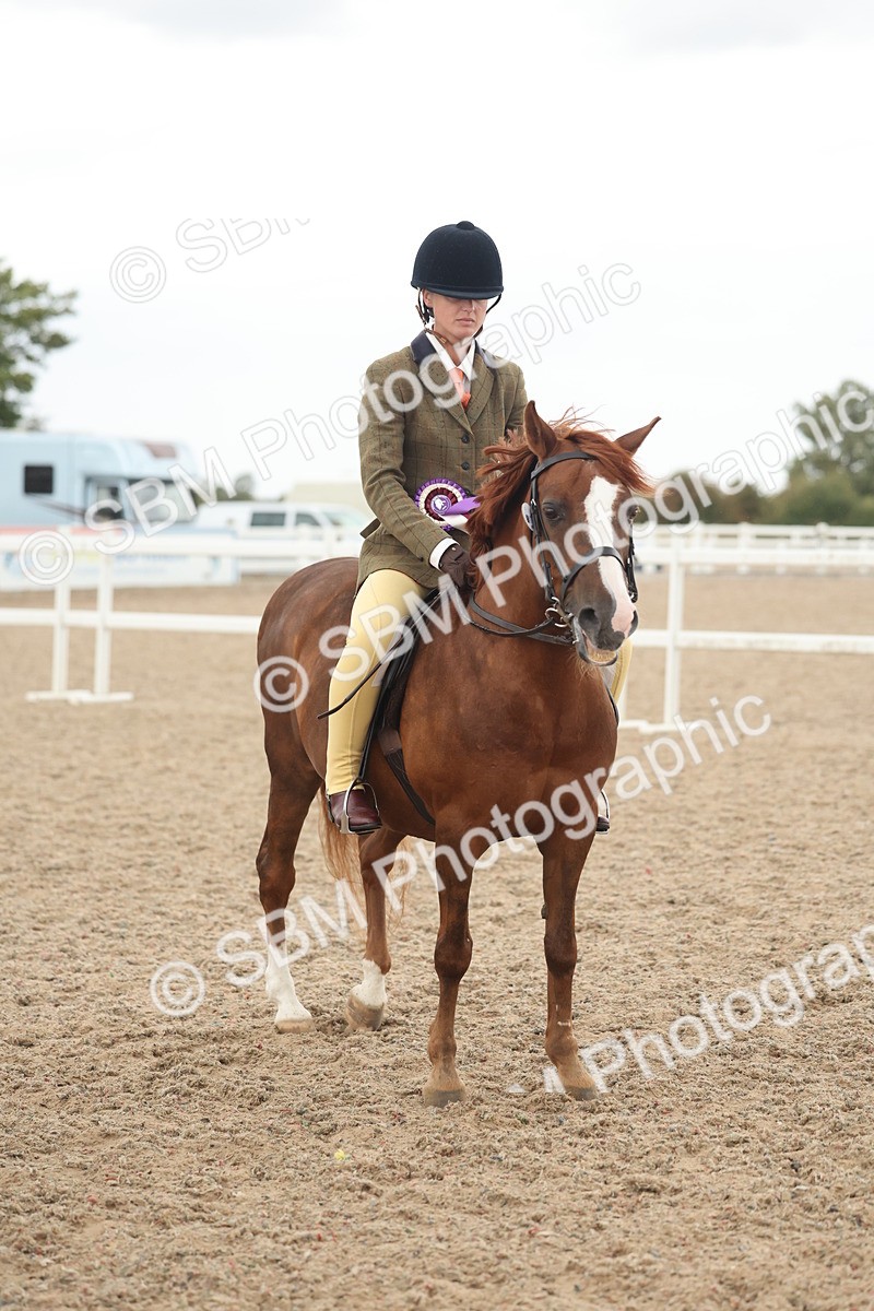 SBM_19207 - Class 316 - Best Pony-Rider Combination