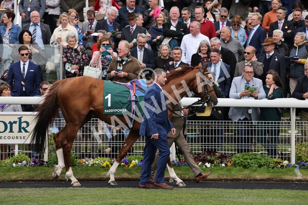 yr13052022r4-17 - Race 4 3.35pm The Paddy Power Yorkshire Cup (British Champions Series Race)