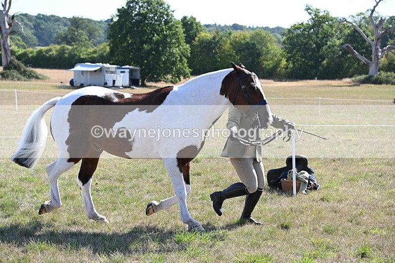WJ6_4235 - Class 16 Condition & Turn Out
