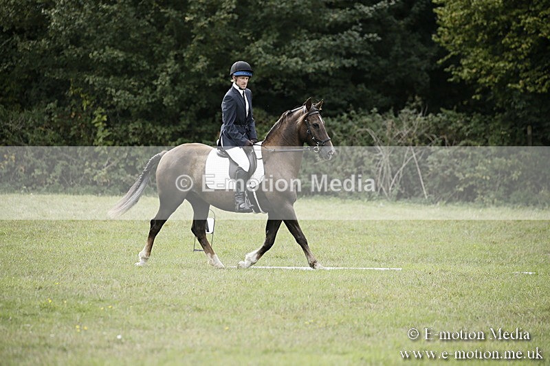 BVR080918 165 - BVRC Novice Dressage & CR 08/09/18