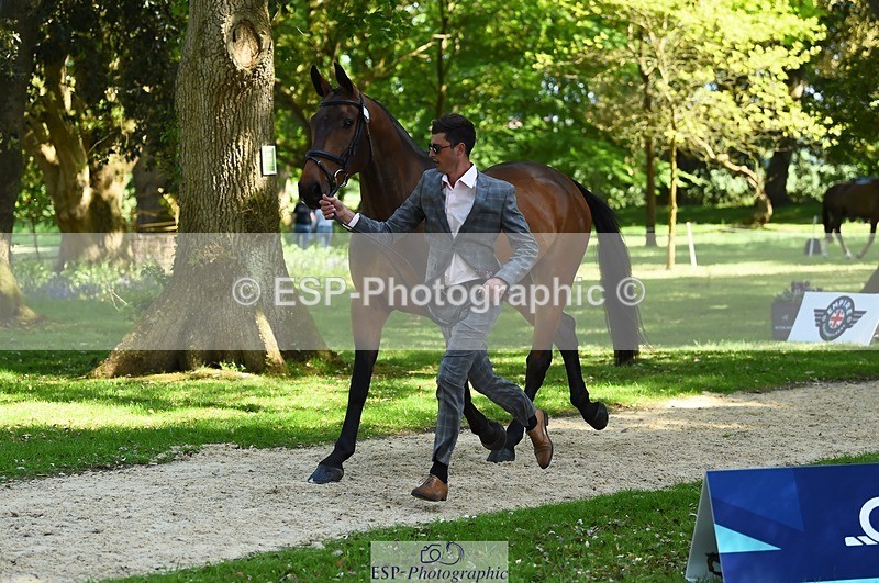 230524-154208-00441 - 374-ISLANDWOOD_THE_RISING-Sebastian_Roldan_Olivera-WEDTrotUp+DR