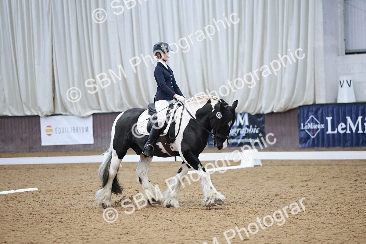 SBM_004549 - Ring 3 - International -  Working Hunter Classes 23-2-25