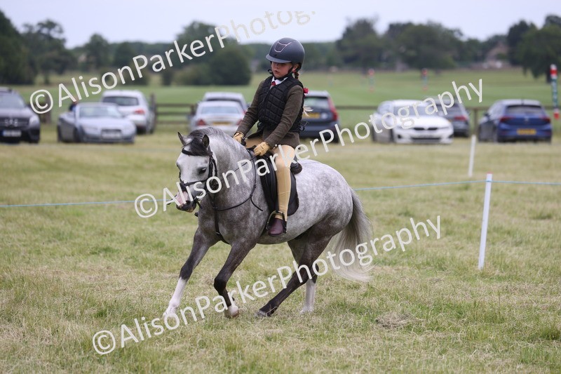 20260614-3144 - Class 22 - Open Working Hunter