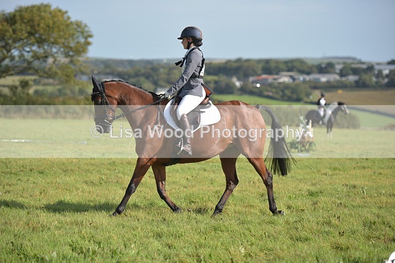 RAY_7545 - Class 2B: Trekenning Open: Dressage