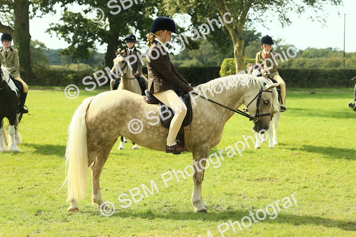 SBM_68824 - S58 - Mini Show Cob Ridden
