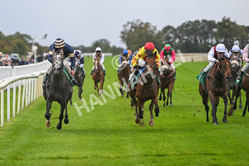 150925-Race 2-Rum Therapy-2385 - Race 2