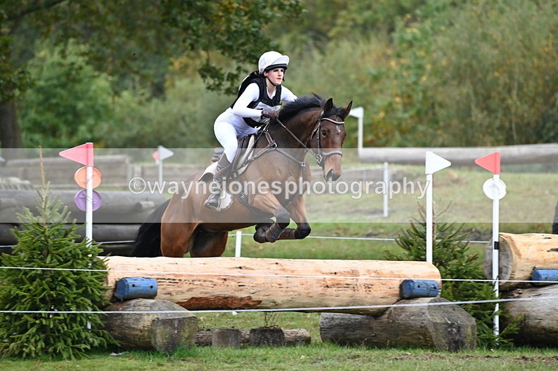 WJ6_2978 - 80cm Cam 1 Pairs Time 12:19 to 12:49